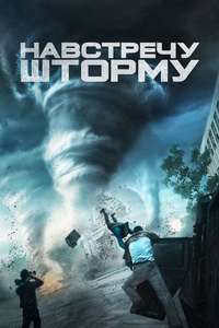 Into the Storm - Posters