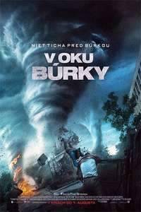 Into the Storm - Posters