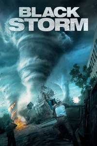 Into the Storm - Posters