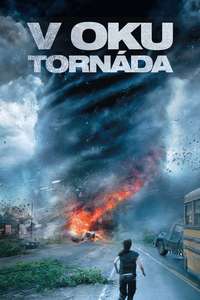 Into the Storm - Posters