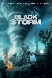Into the Storm - Posters