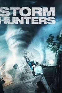Into the Storm - Posters
