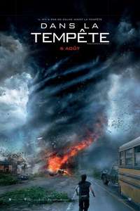 Into the Storm - Posters