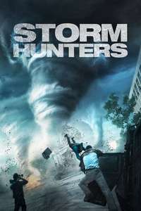 Into the Storm - Posters