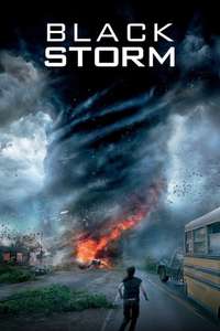 Into the Storm - Posters