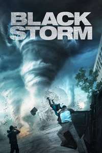 Into the Storm - Posters