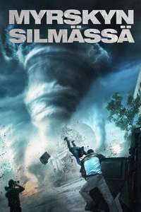 Into the Storm - Posters