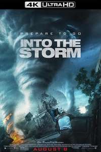 Into the Storm - Posters