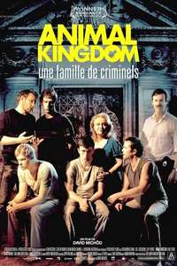 Animal Kingdom - Poster
