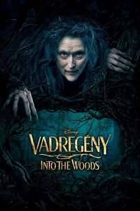 Into the Woods - Posters