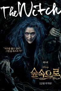 Into the Woods - Posters