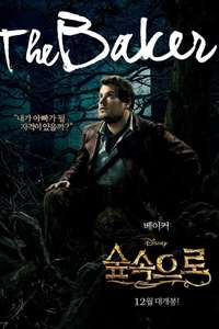 Into the Woods - Posters