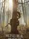 Where the Wild Things Are
