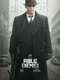 Public Enemies