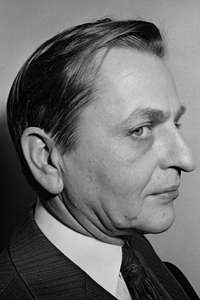 Who Killed Olof Palme? - Poster