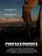 Cinemaphobia