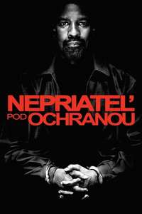 Safe House - Posters