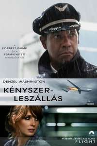 Flight - Posters