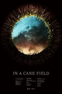 In a Cane Field - Poster