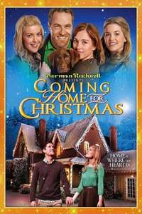 Coming Home for Christmas - Poster