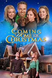 Coming Home for Christmas - Poster