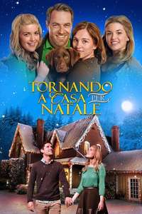 Coming Home for Christmas - Poster
