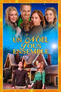 Coming Home for Christmas - Poster