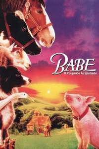 Babe - Posters