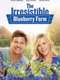 The Irresistible Blueberry Farm