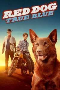 Red Dog: True Blue - Poster