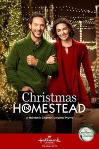 Christmas in Homestead - Poster