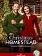 Christmas in Homestead