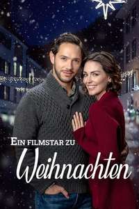 Christmas in Homestead - Poster