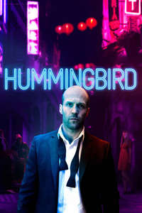 Hummingbird - Posters
