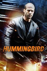 Hummingbird - Posters