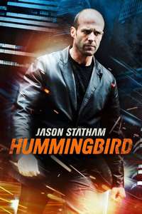 Hummingbird - Posters