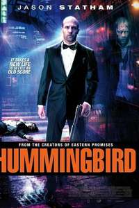Hummingbird - Posters