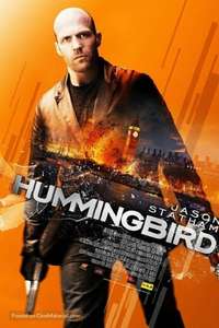 Hummingbird - Posters
