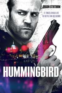 Hummingbird - Posters