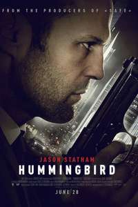 Hummingbird - Posters