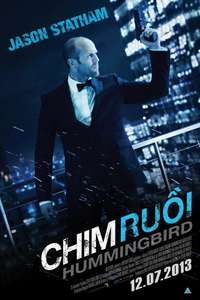 Hummingbird - Posters