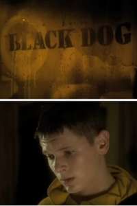 Black Dog - Poster