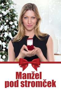 Married by Christmas - Poster
