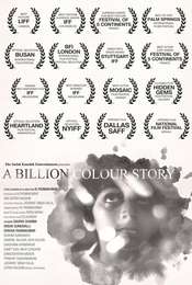 A Billion Colour Story