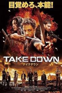Take Down - Poster