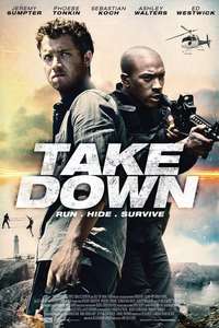Take Down - Poster