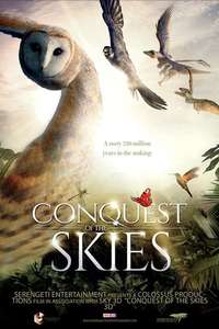 Wild Flight: Conquest of the Skies 3D - Poster