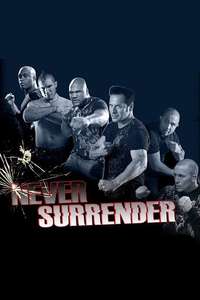 Never Surrender - Poster