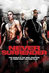 Never Surrender - Poster