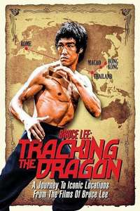 Bruce Lee: Tracking the Dragon - Poster